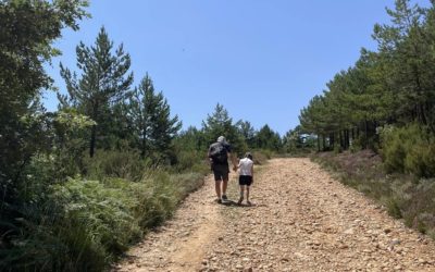 16 juillet : Belorado – San Juan de Ortega