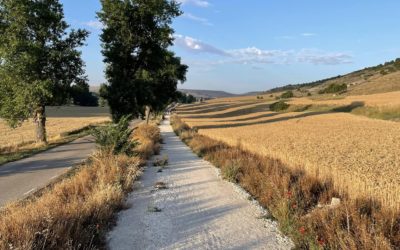 19 juillet : Hontanas – Boadilla del Camino