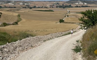 18 juillet : Burgos – Hontanas