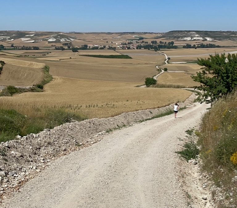18 juillet : Burgos – Hontanas