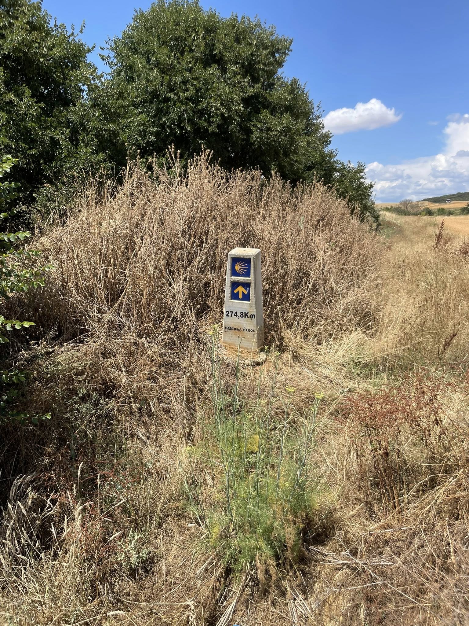 518092153_1570835104244288_4563162039506160622_n