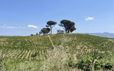 16 juillet : Pontferrada – Villafranca